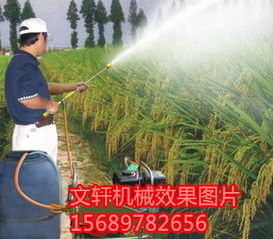 德州地區(qū)蘋果樹農(nóng)藥電動(dòng)噴霧器使用指南