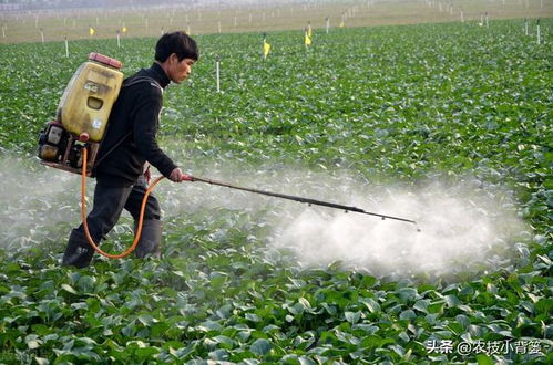防治作物病毒病、細(xì)菌和真菌病害 這4種抗生素類生物農(nóng)藥就很好